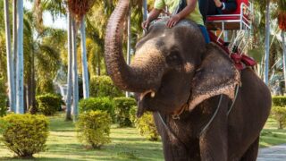 転職も選択肢に｜ブラック企業から抜け出す判断基準