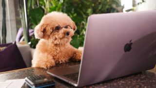 パワハラ相談を受けたときの心構え|記者が語る現場対応と注意点