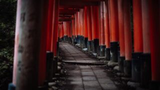 もしあの時…?量子力学の『多世界解釈』が人生の後悔を癒す理由