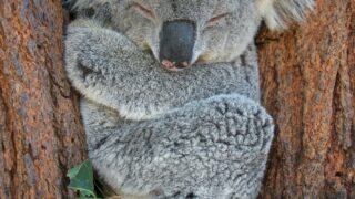 転職前「去り際の過ごし方」 やる気ゼロの私が学んだ体験記